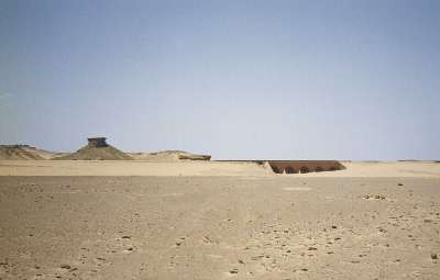 C20B