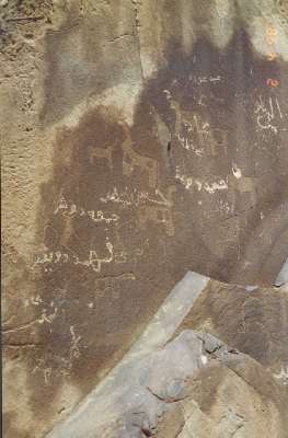 C31B