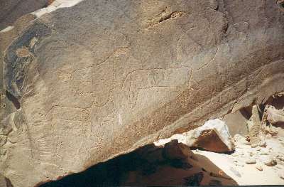 C32B
