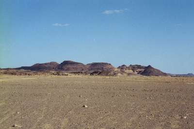 D307330