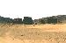 M307132A