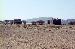 P307620