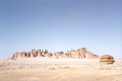 G306733