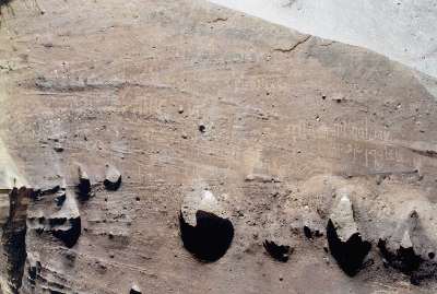 G306747